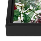 Exotic Garden - Summer II  Framed Canvas Print Gallery Image 3