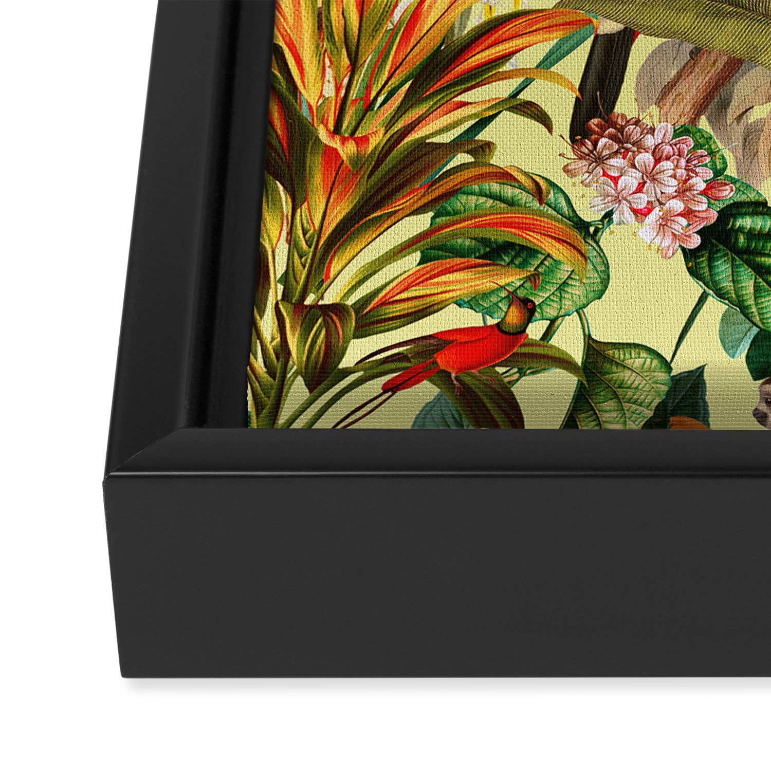 Exotic Jungle II Framed Canvas Print Gallery Image 3