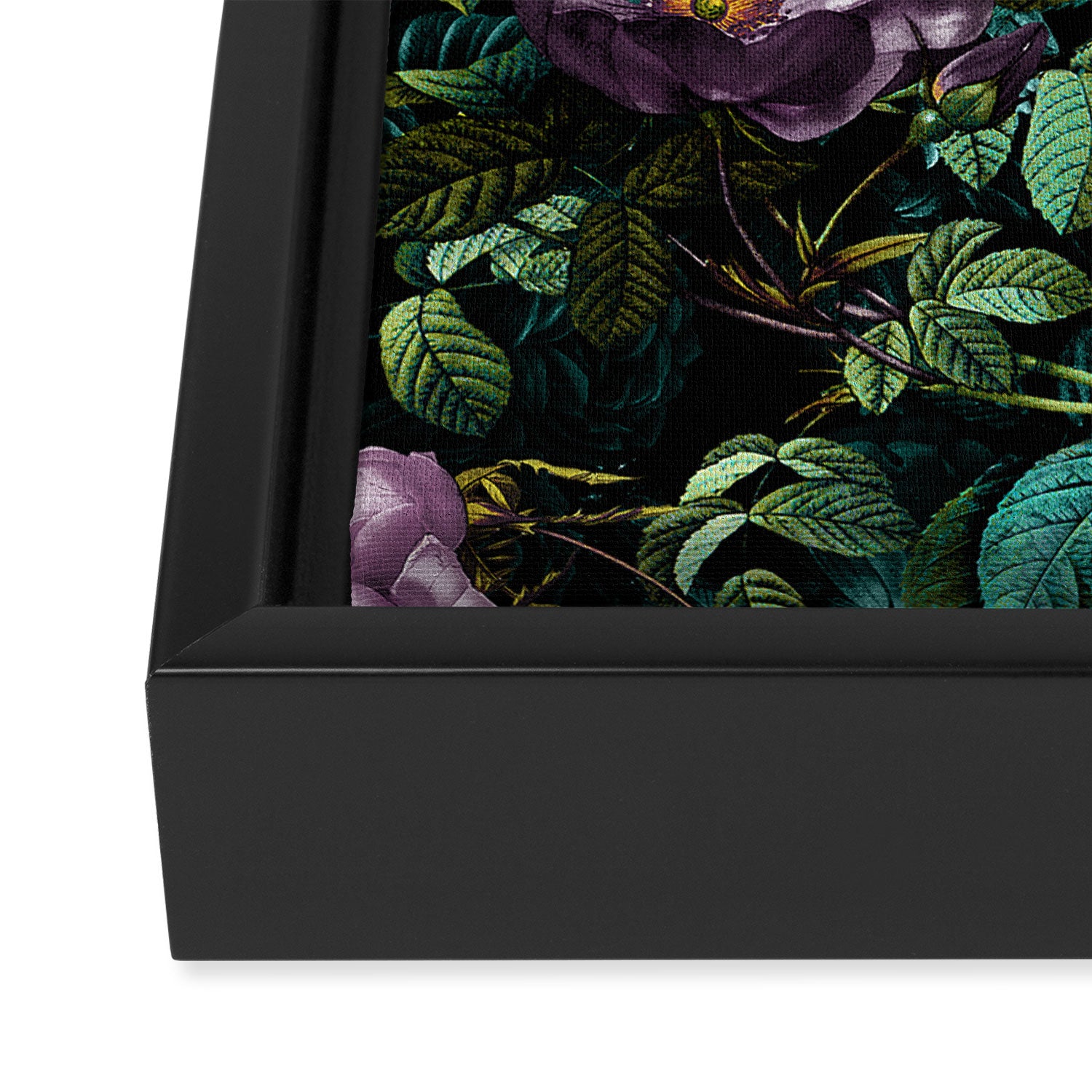 Exotic Jungle - Night Framed Canvas Print Gallery Image 3