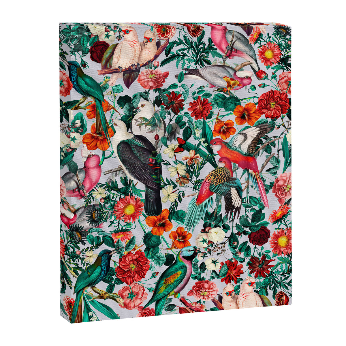 FLORAL AND BIRDS XIV Canvas Print Gallery Image 6