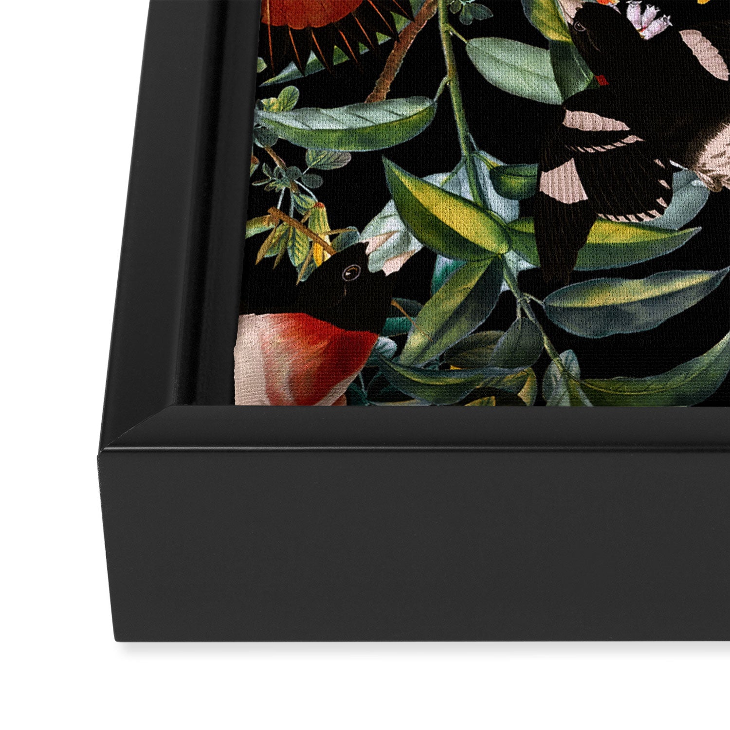 Floral and Birds XLIV Framed Canvas Print Gallery Image 3