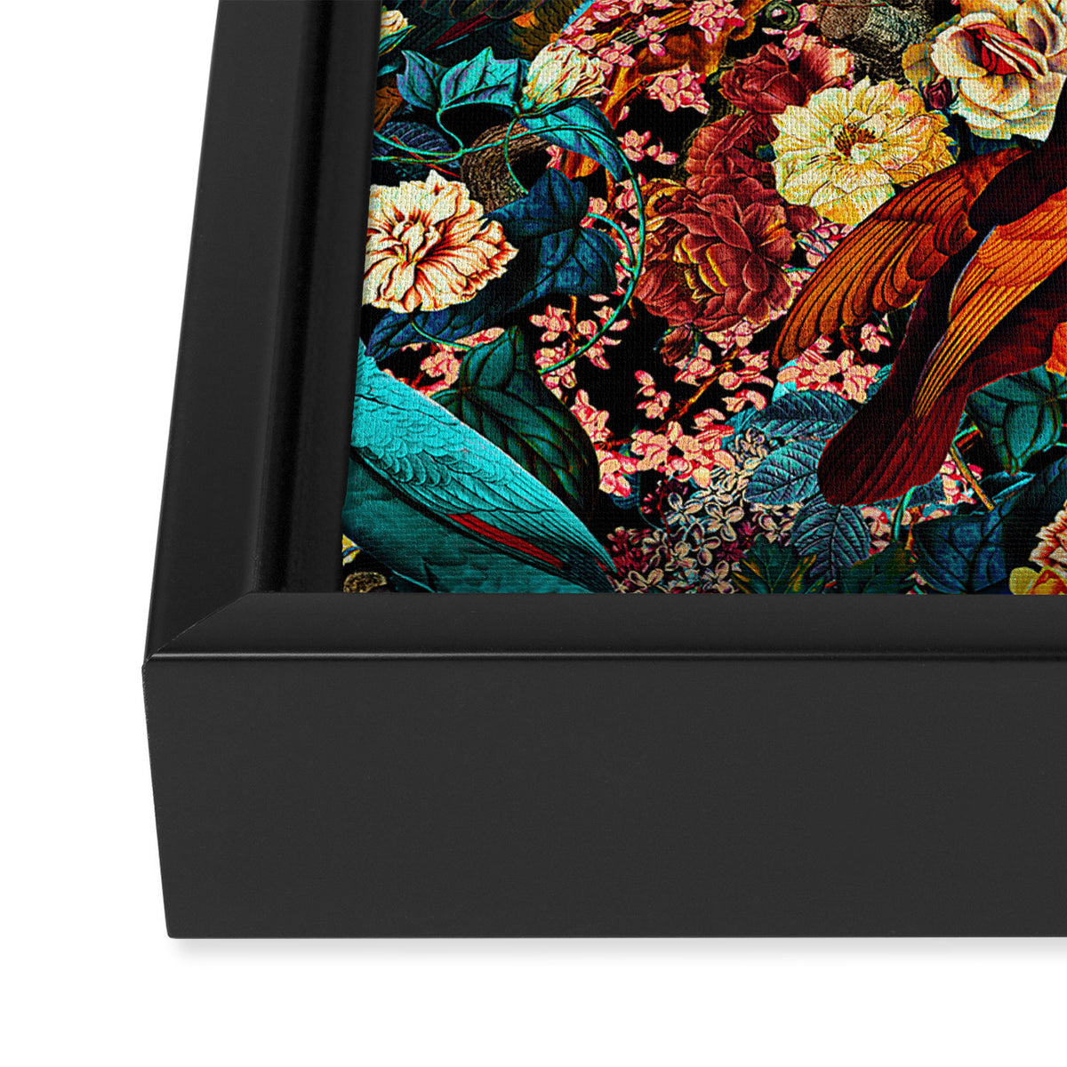 FLORAL AND BIRDS XVII Framed Canvas Print Gallery Image 3