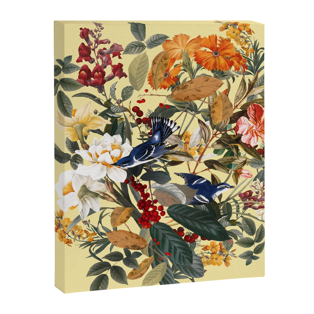 Floral and Birds XXIX Canvas Print Gallery Image 6