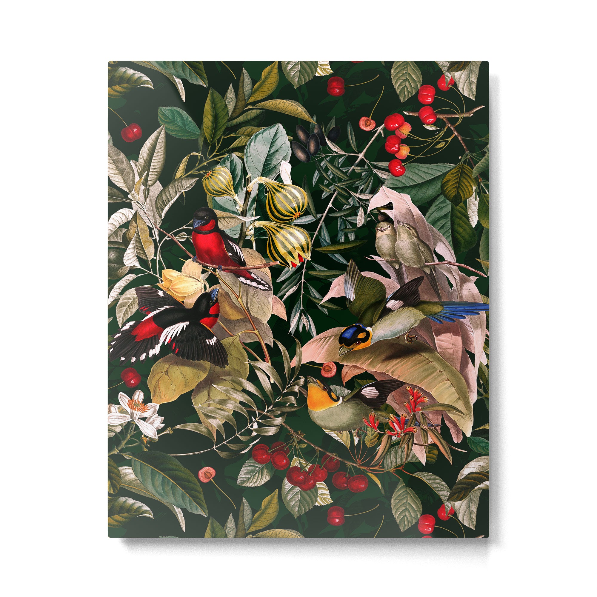 Floral and Birds XXV Metal Print Gallery Image 4