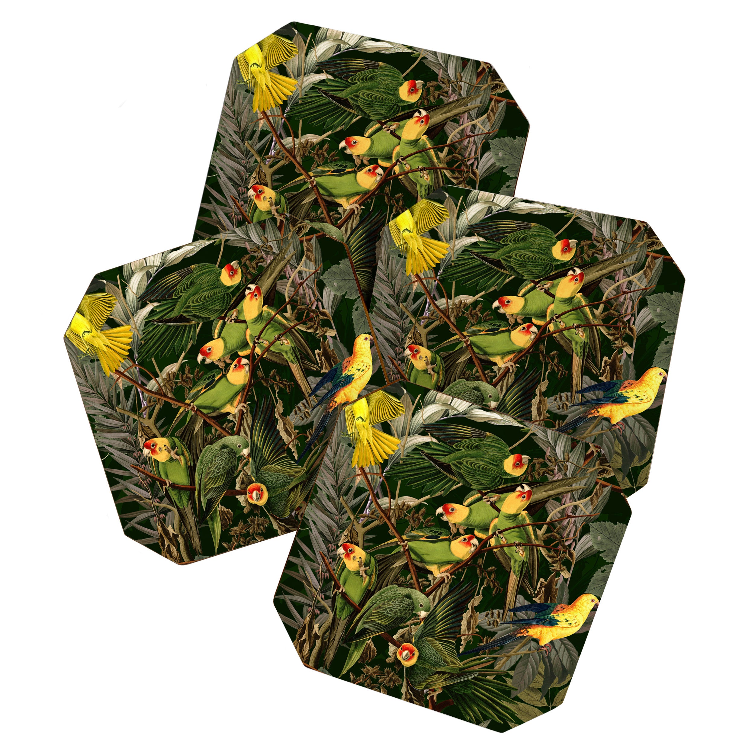Floral and Birds XXXVI Coaster Gallery Image 1