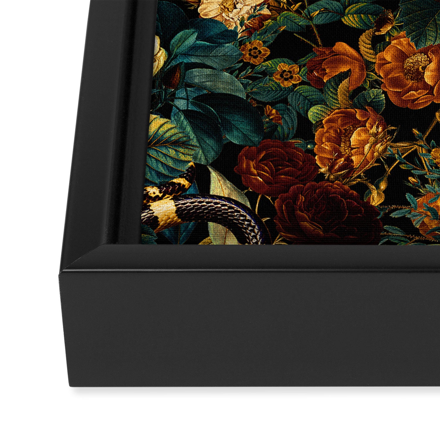 Floral and Snakes jungle Framed Canvas Print Gallery Image 3