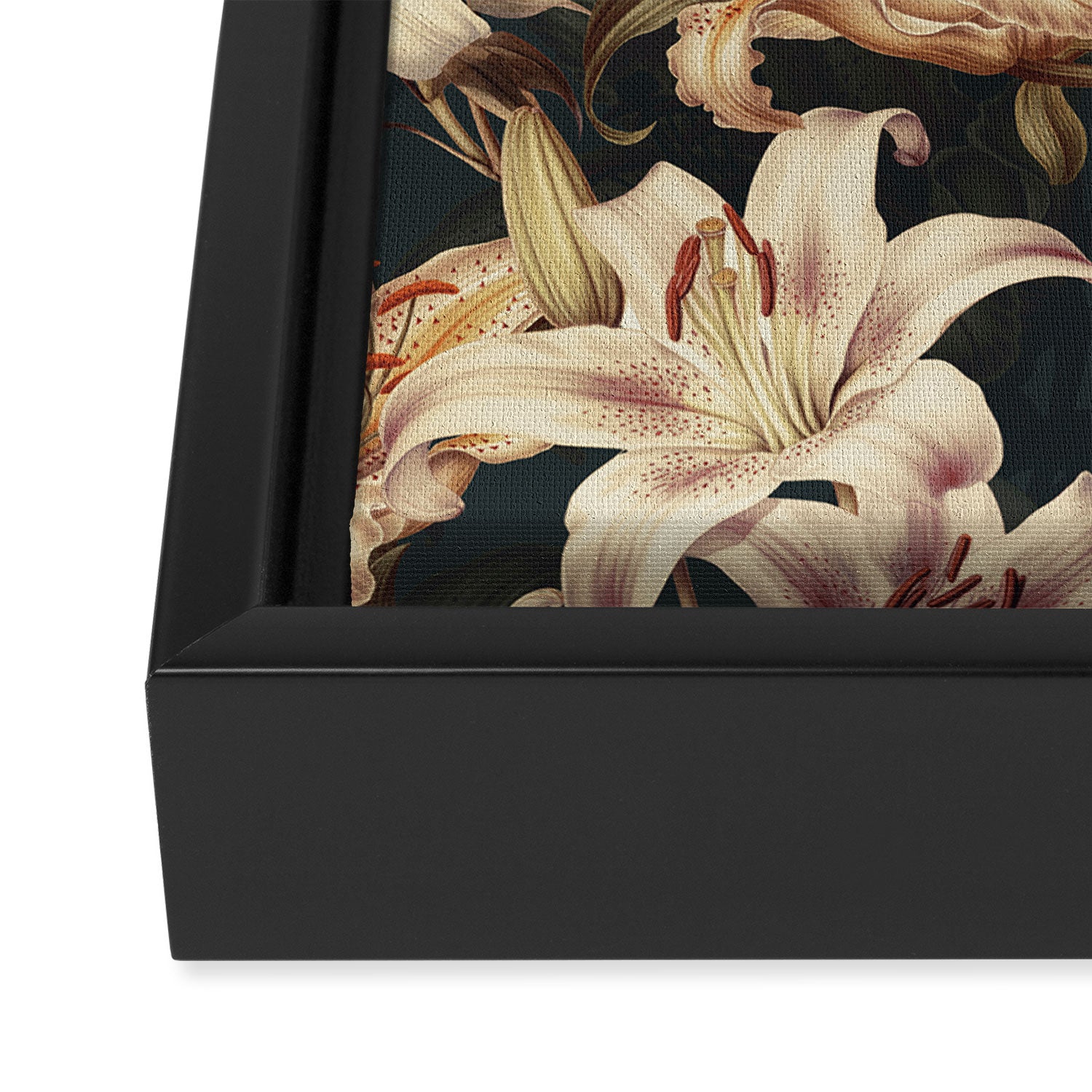 Floral Spice III Framed Canvas Print Gallery Image 3