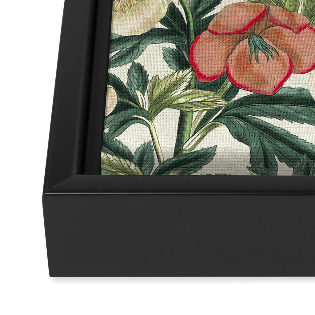  Floral Vintage Garden VI Framed Canvas Print Gallery Image 3