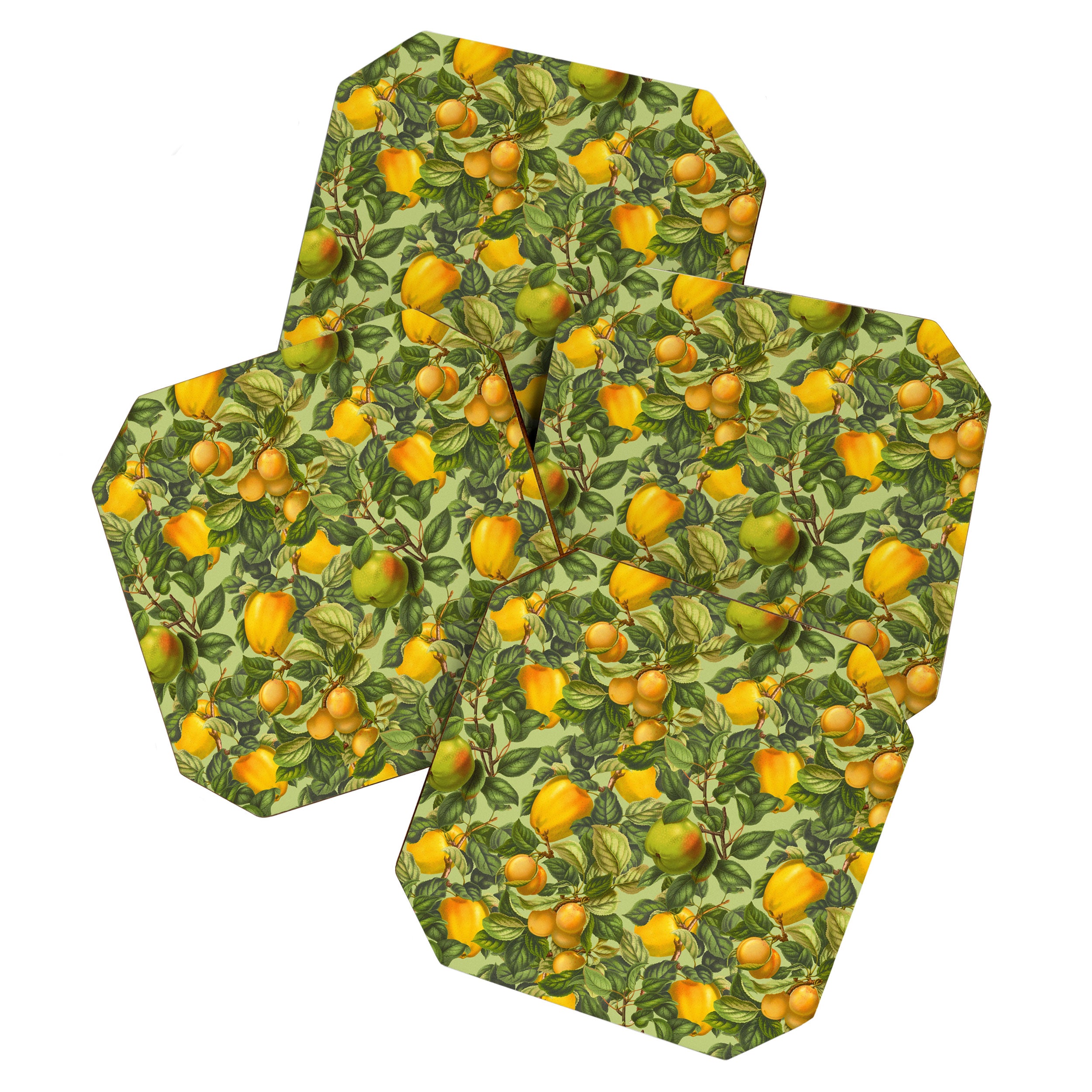 Fruit Garden Coaster Gallery Image 1