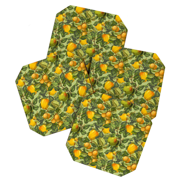 Fruit Garden Coaster Gallery Image 1