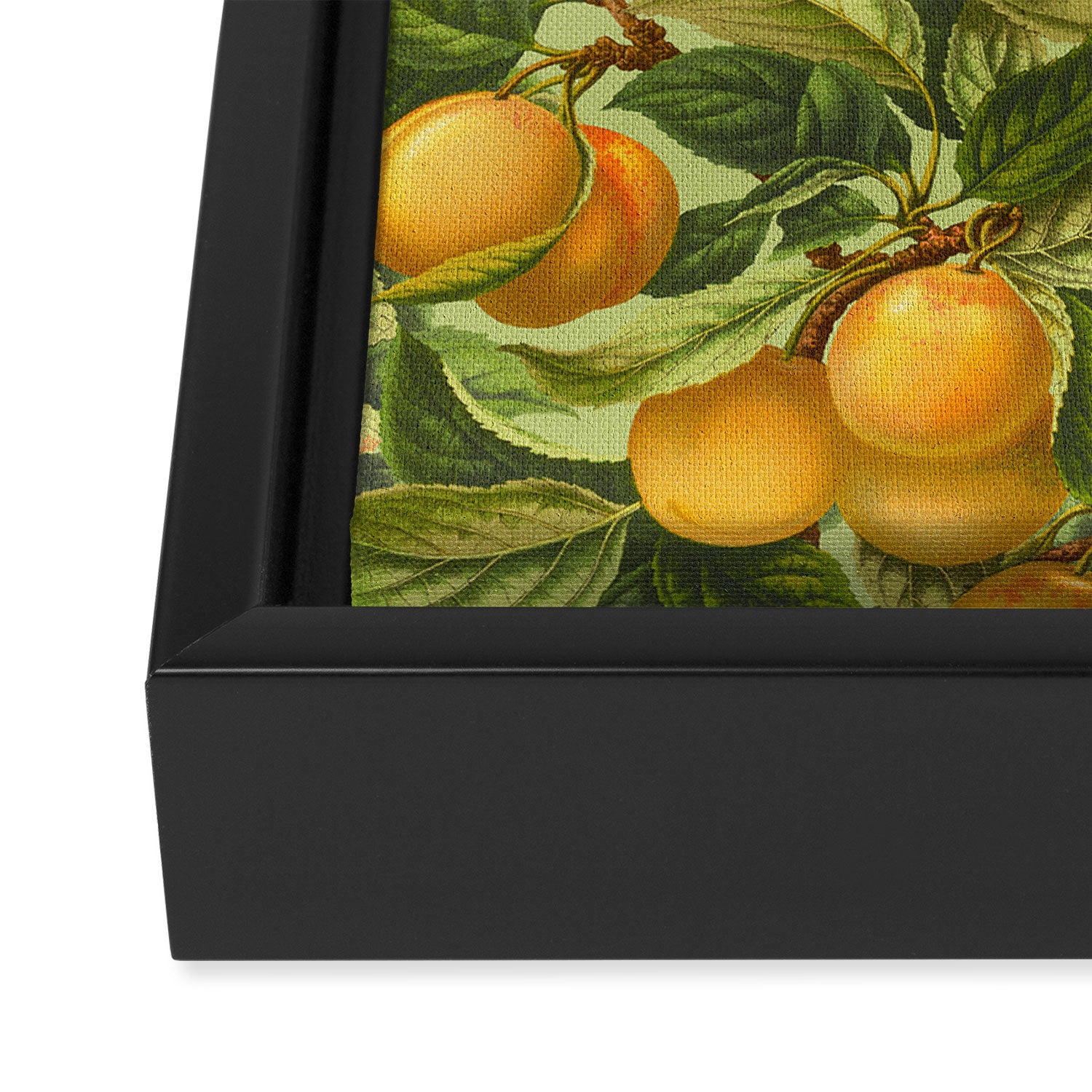 Fruit Garden Framed Canvas Print Gallery Image 3