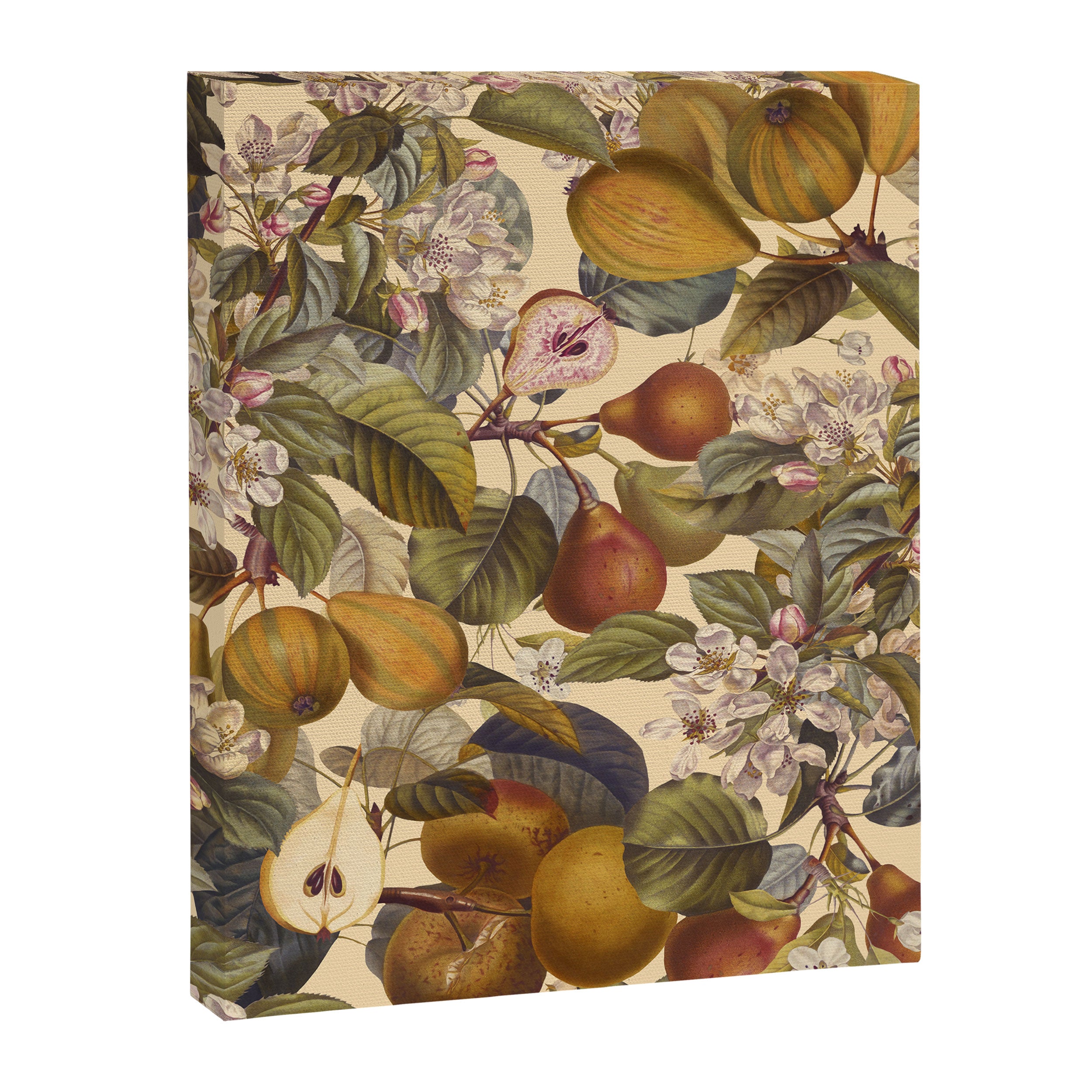 Fruit Garden II Canvas Print Gallery Image 6