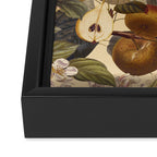 Fruit Garden II Framed Canvas Print Gallery Image 3