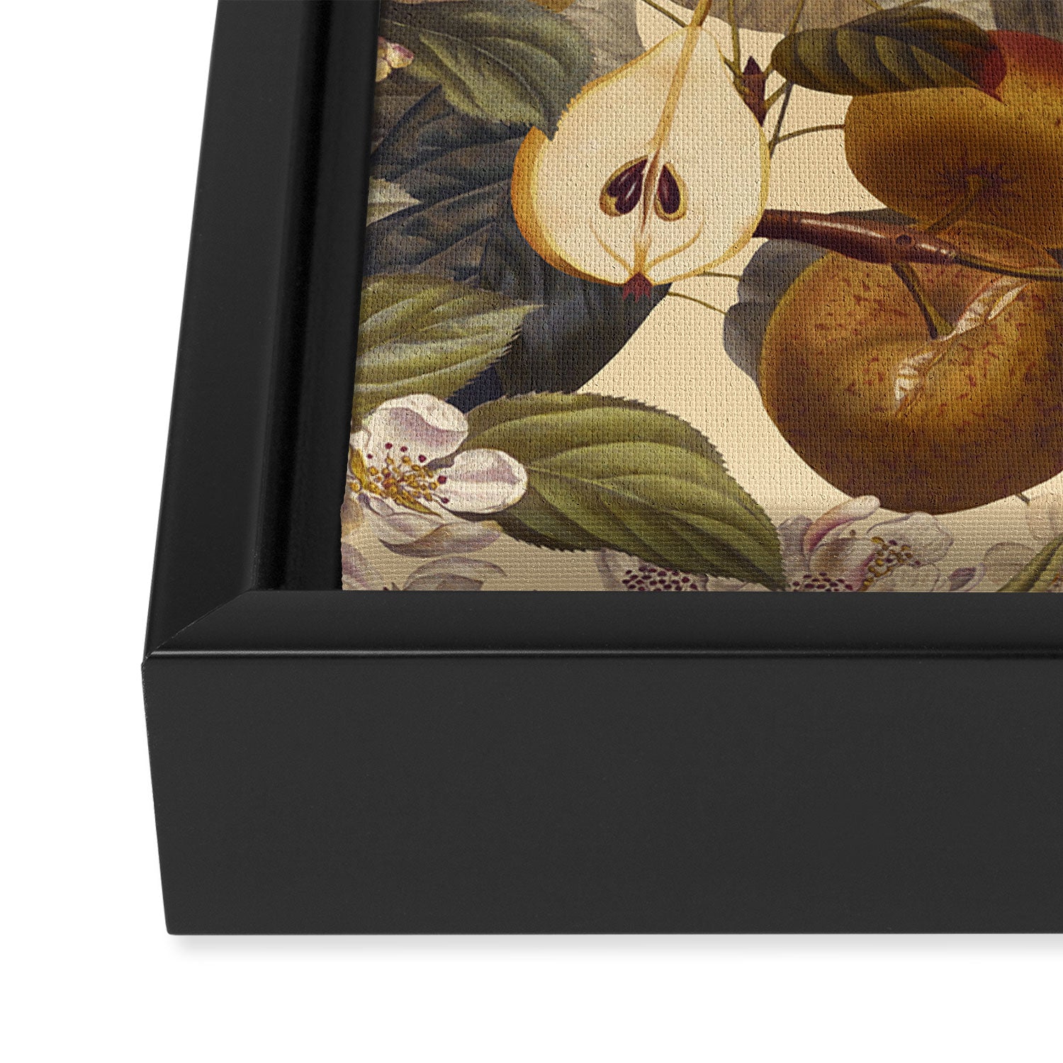Fruit Garden II Framed Canvas Print Gallery Image 3