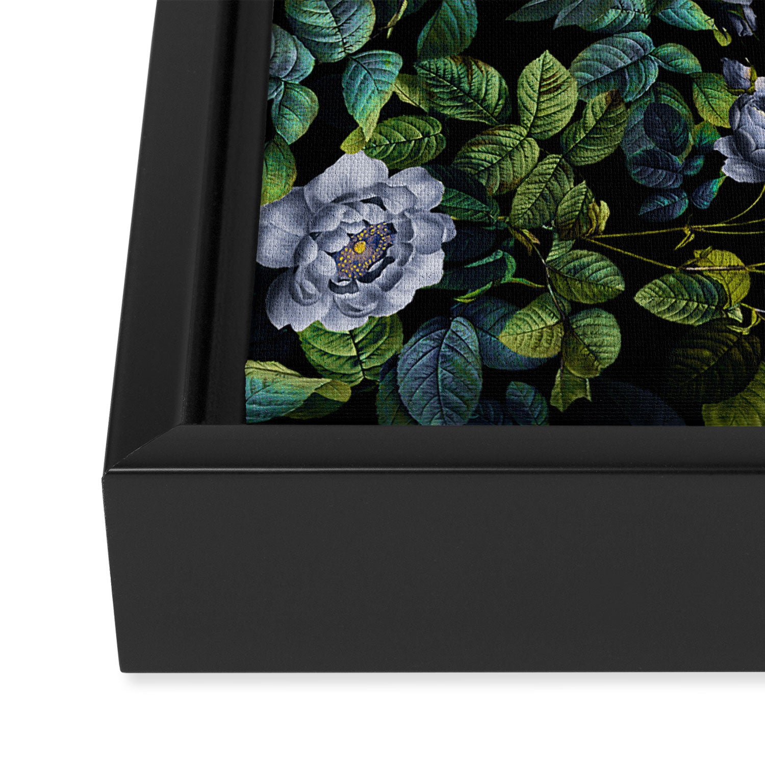 Future Nature Framed Canvas Print Gallery Image 3