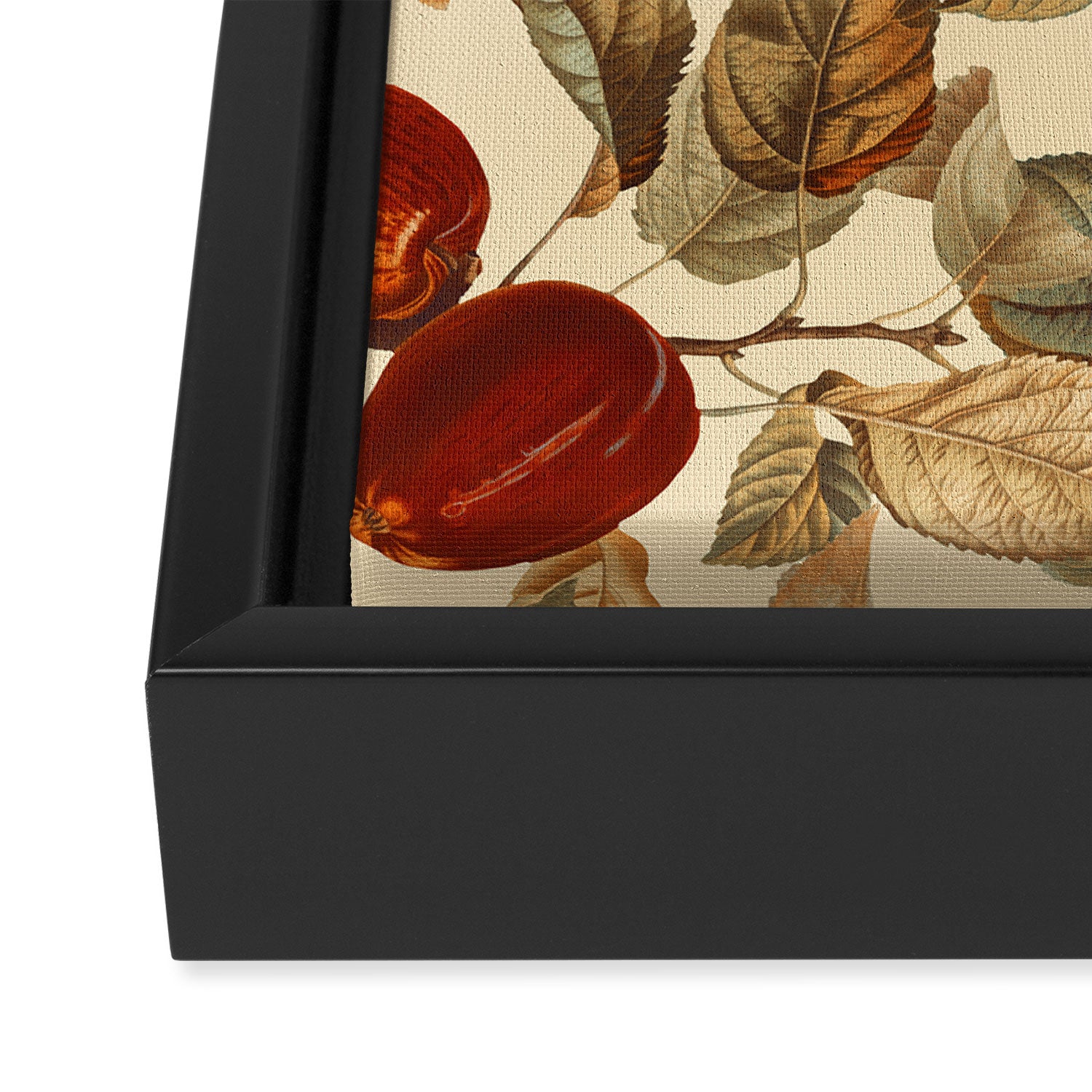 Garden of Eden - Forbidden fruit Framed Canvas Print Gallery Image 3