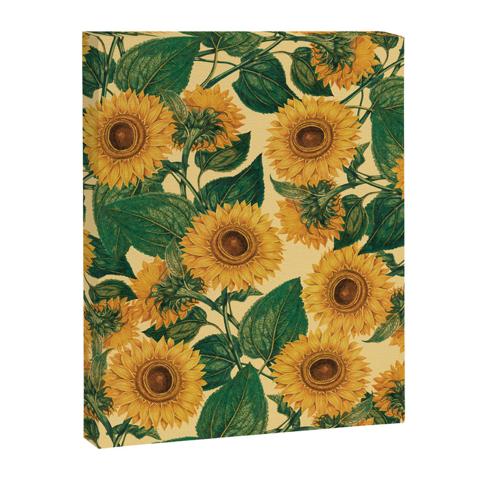 Helianthus Annuus Canvas Print Gallery Image 1