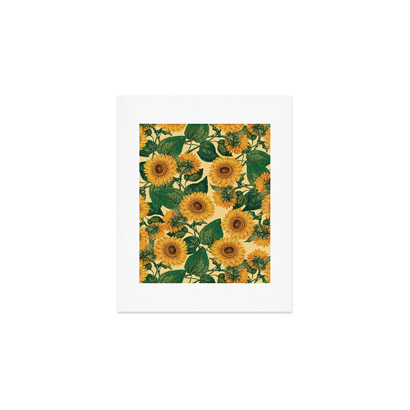 Helianthus Annuus Art Print Gallery Image 1