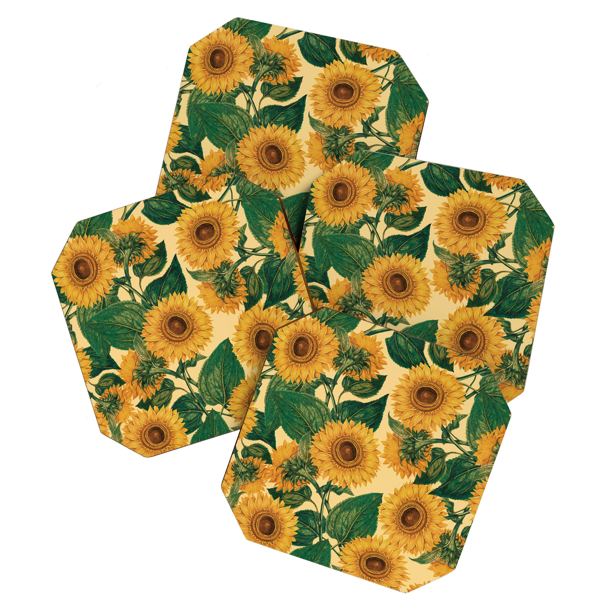 Helianthus Annuus Coaster Gallery Image 1