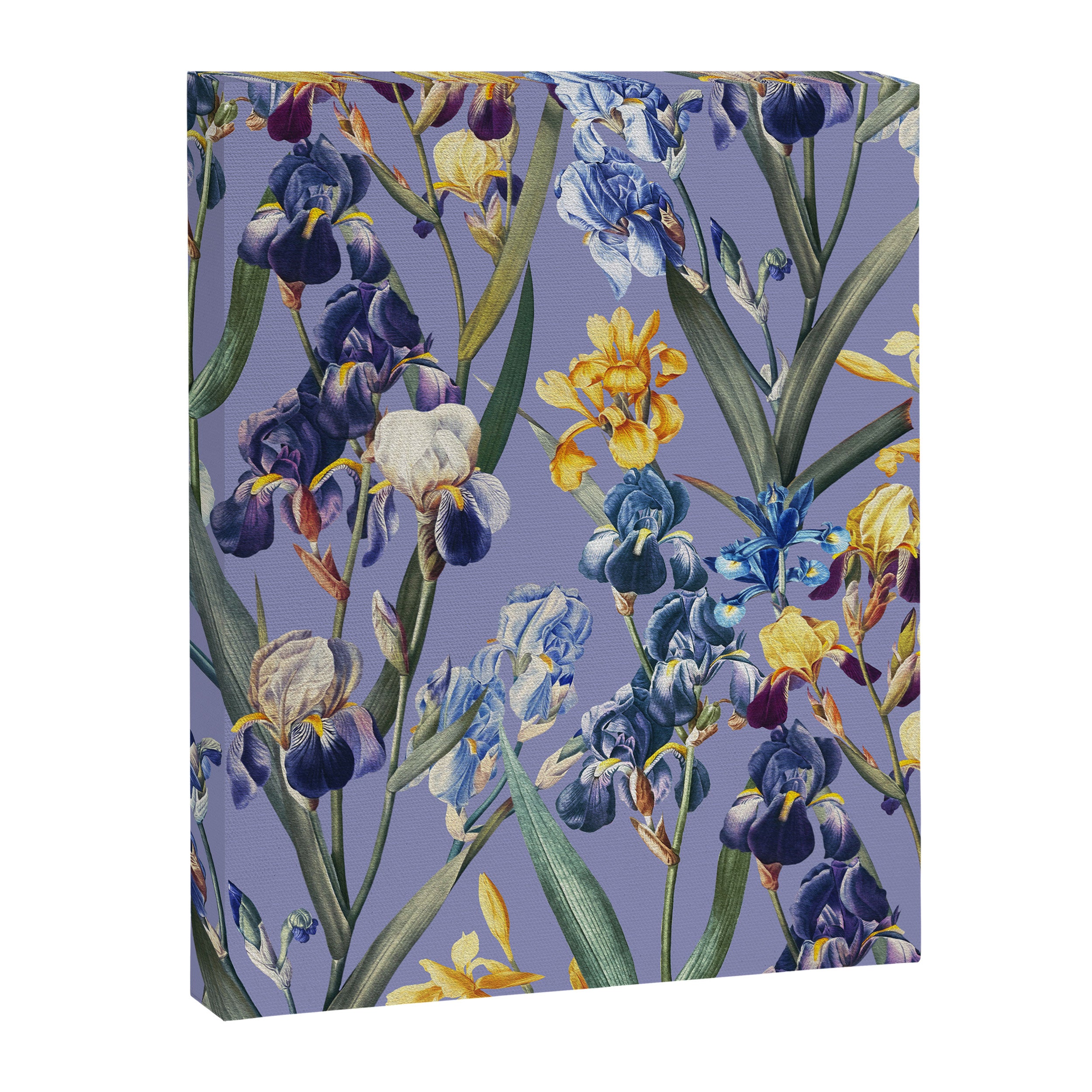 Iris Garden Canvas Print Gallery Image 6