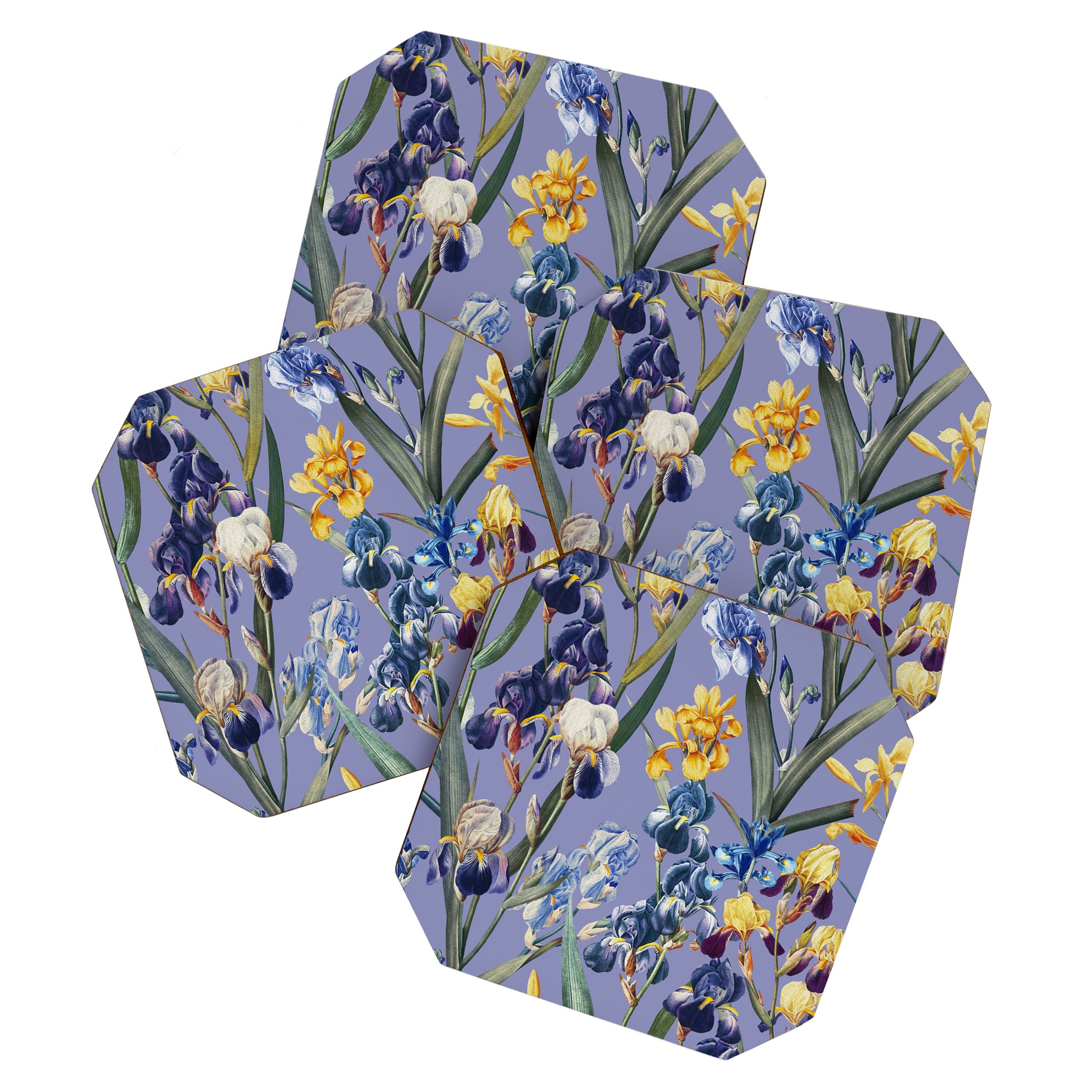 Iris Garden Coaster Gallery Image 1