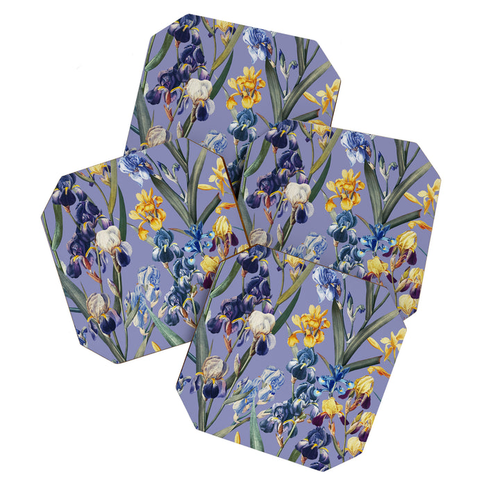 Iris Garden Coaster Gallery Image 1
