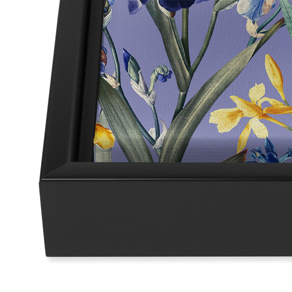 Iris Garden Framed Canvas Print Gallery Image 3