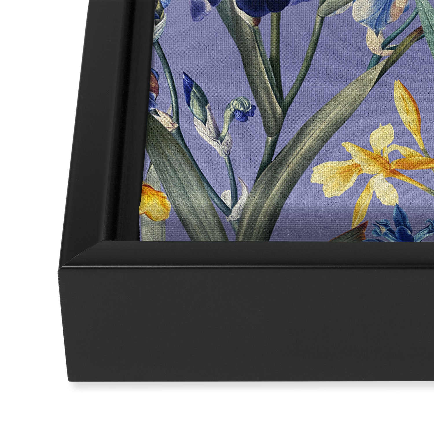 Iris Garden Framed Canvas Print Gallery Image 3