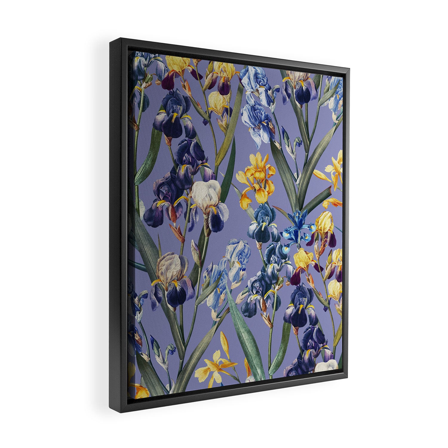 Iris Garden Framed Canvas Print Gallery Image 2