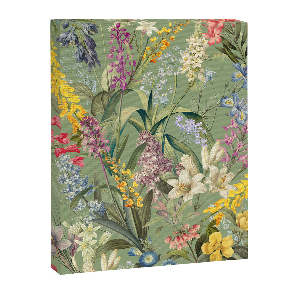 Isolated Blooms II Canvas Print Gallery Image 6