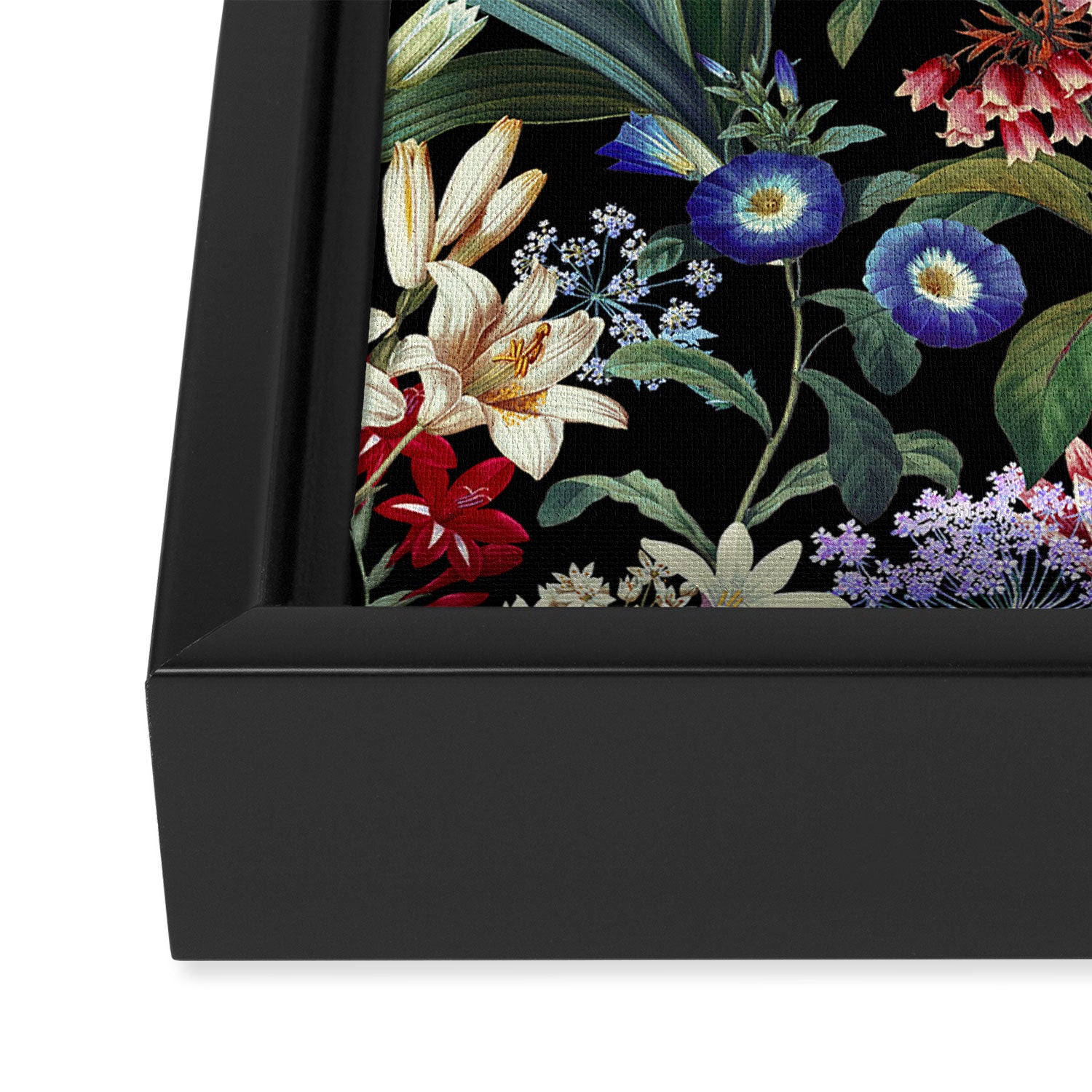 Isolated Blooms II Night Framed Canvas Print Gallery Image 3