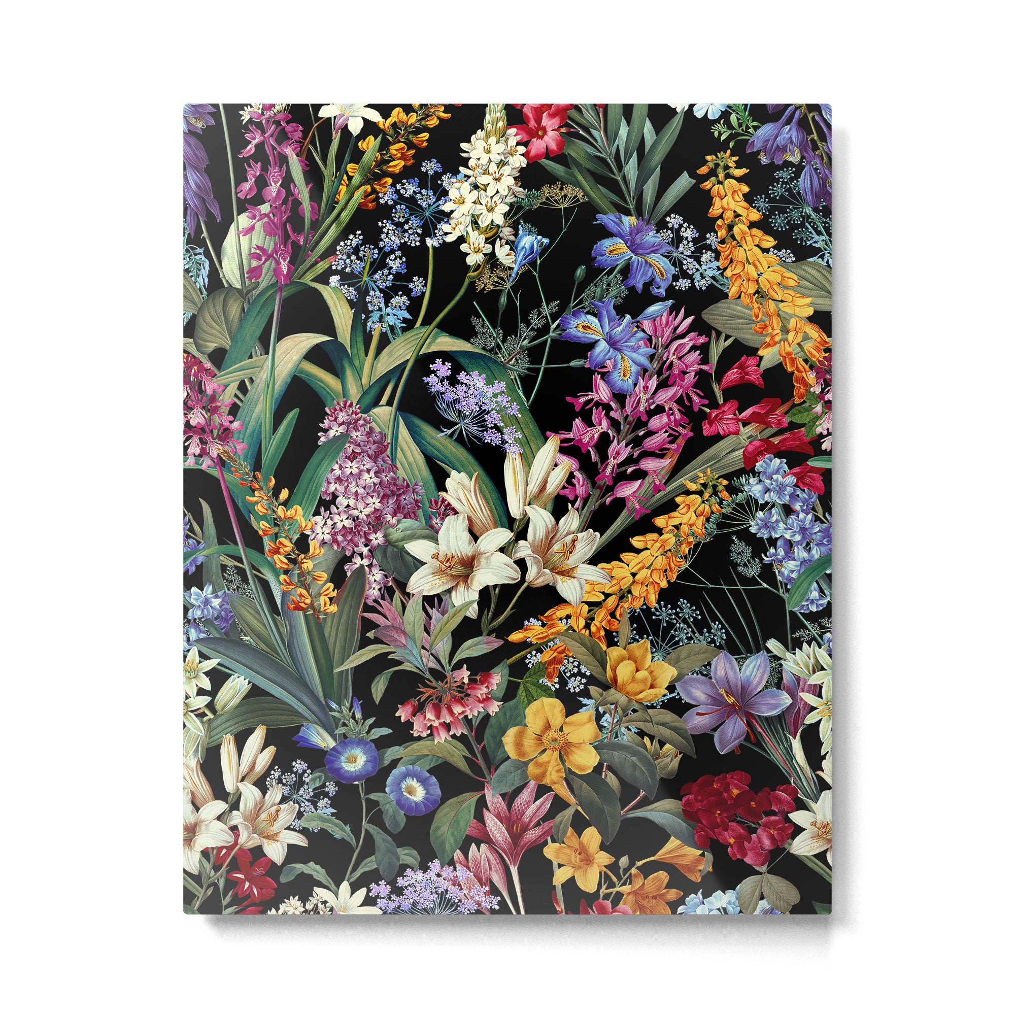 Isolated Blooms II Night Metal Print Gallery Image 4