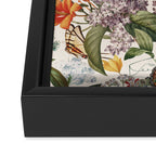 Isolated Blooms III Framed Canvas Print Gallery Image 3