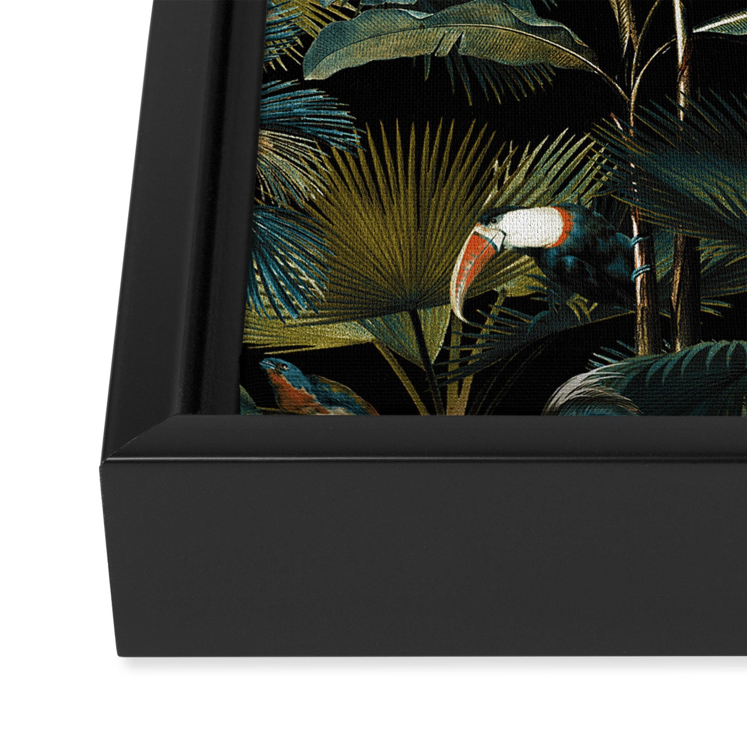 Jungle and Birds Framed Canvas Print Gallery Image 3