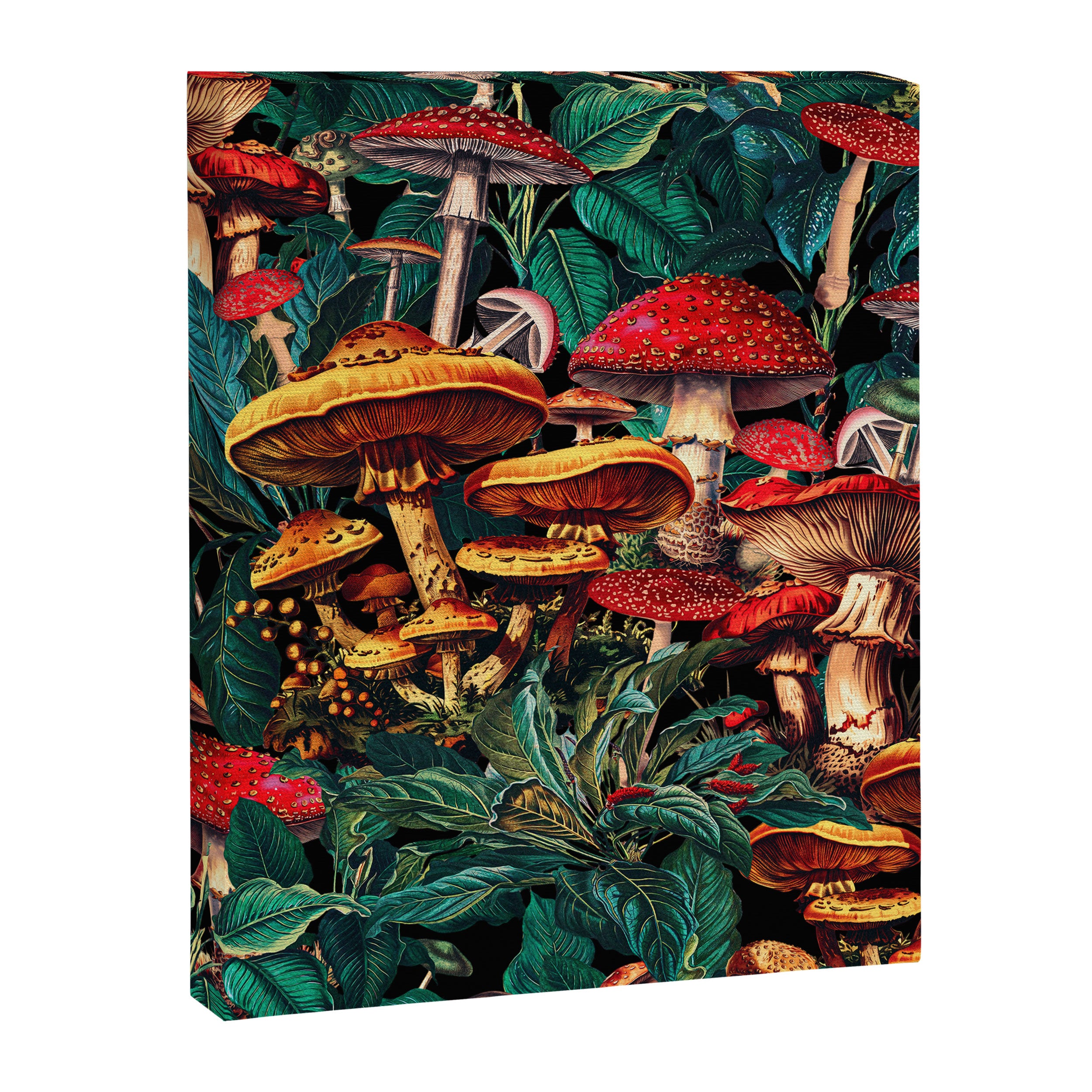 Magic Mushrooms Canvas Print Gallery Image 6