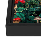 Magic Mushrooms Framed Canvas Print Gallery Image 3