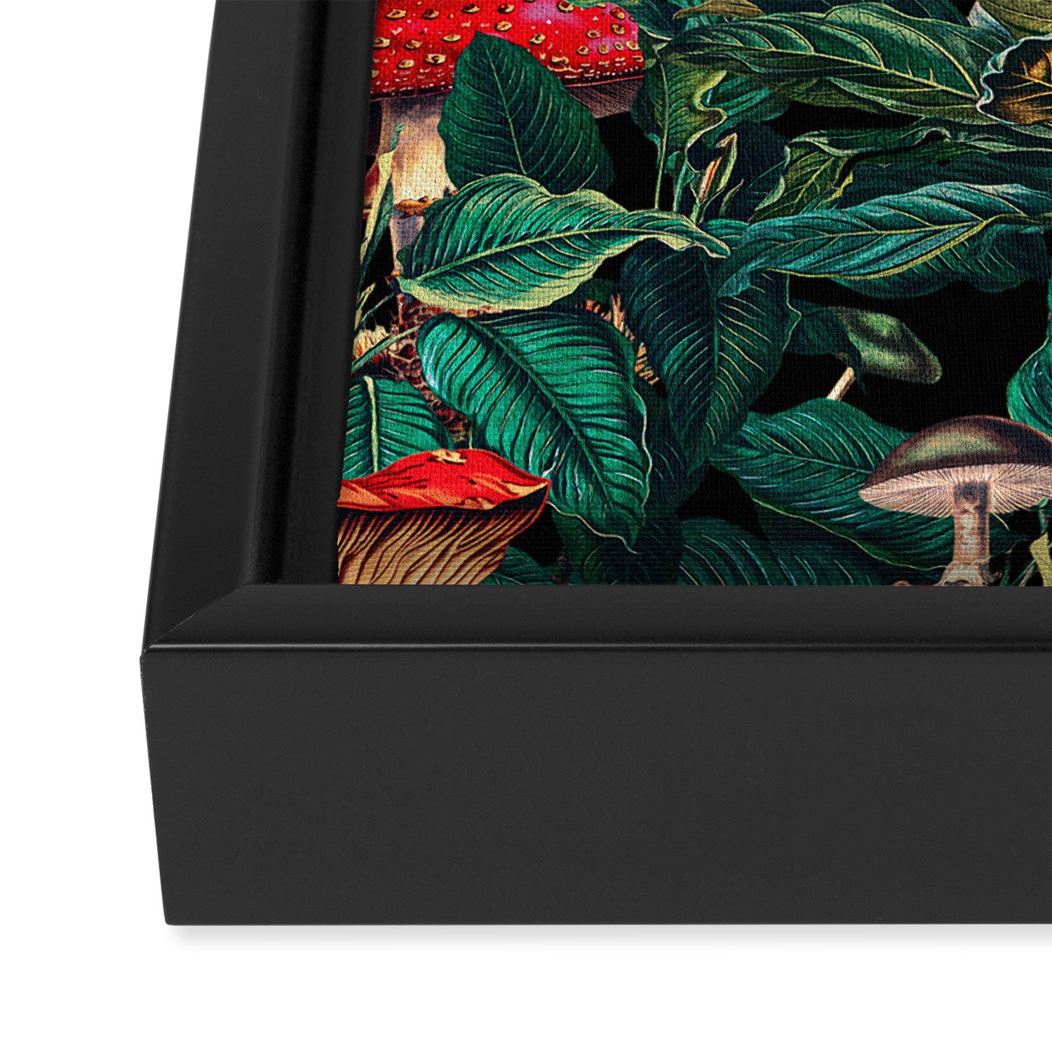 Magic Mushrooms Framed Canvas Print Gallery Image 3