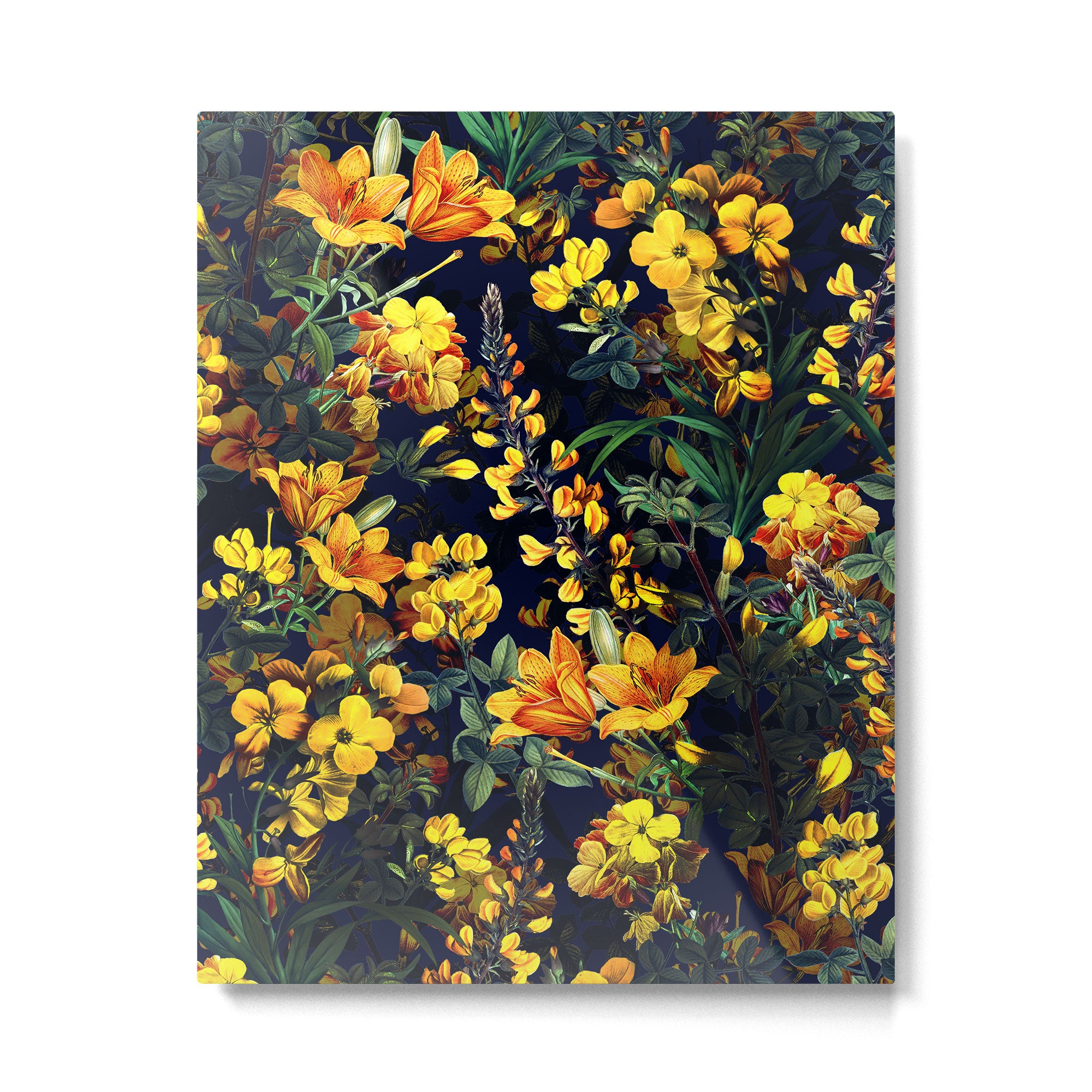 Magical Forest IV Metal Print Gallery Image 4