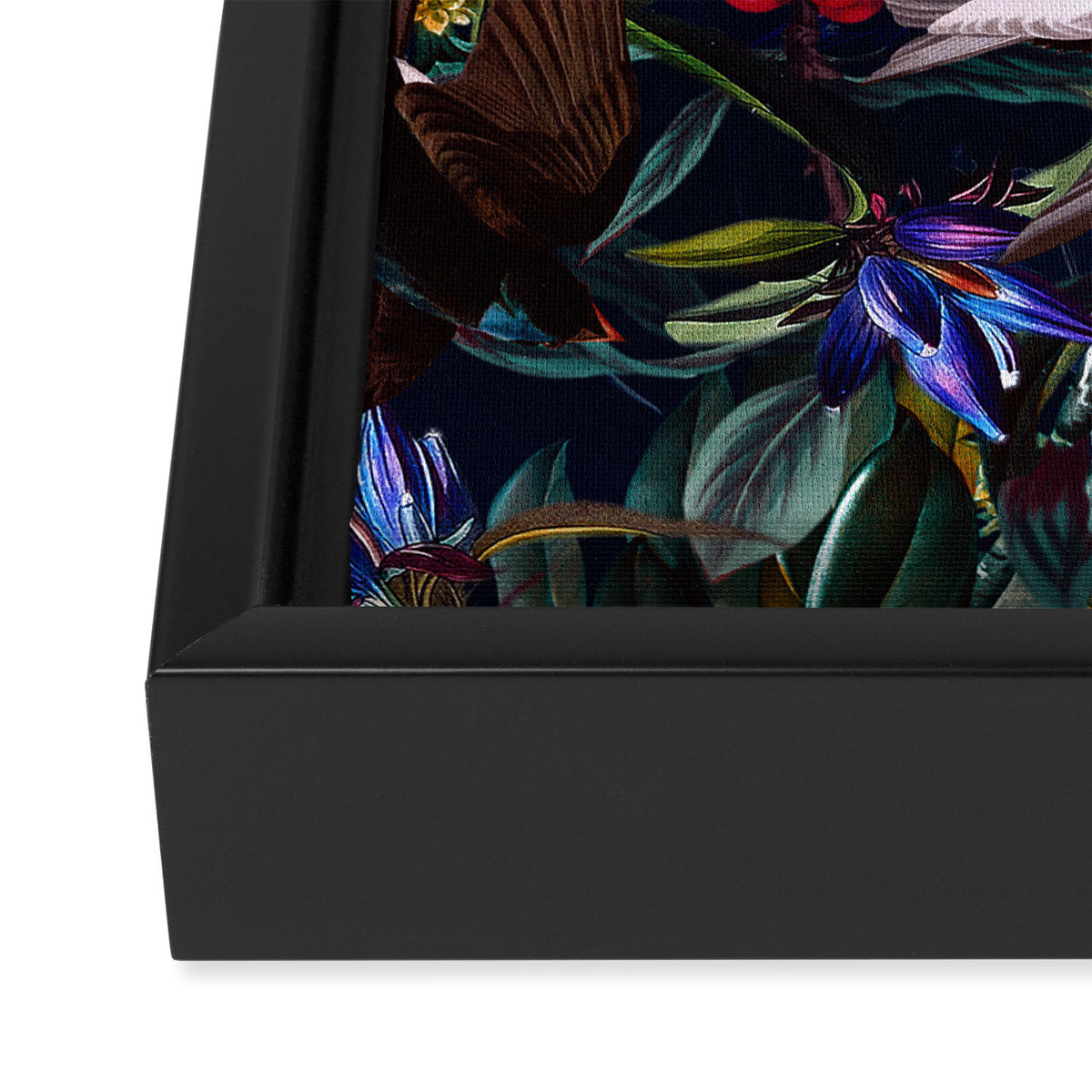 Midnight Birds I Framed Canvas Print Gallery Image 3