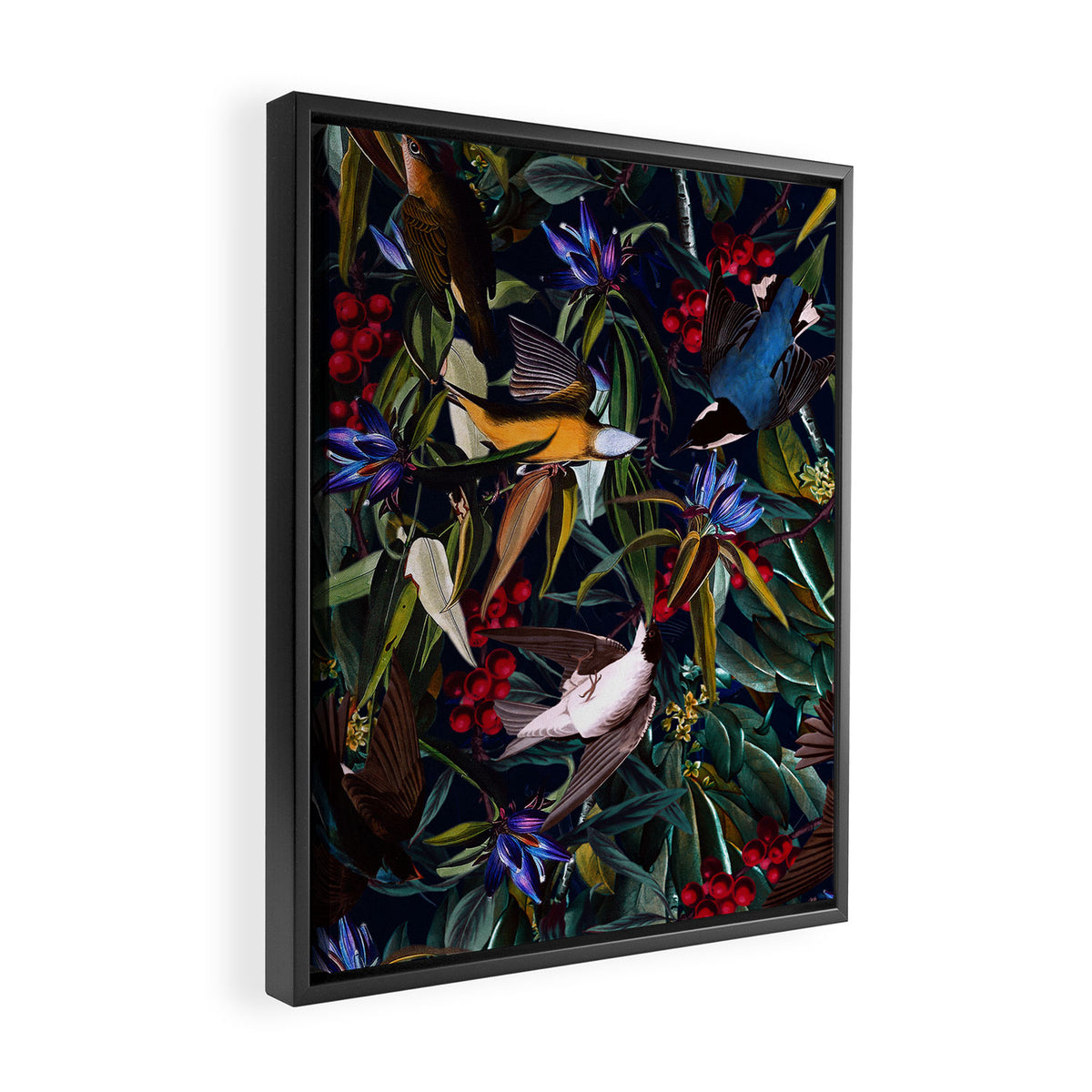 Midnight Birds I Framed Canvas Print Gallery Image 2
