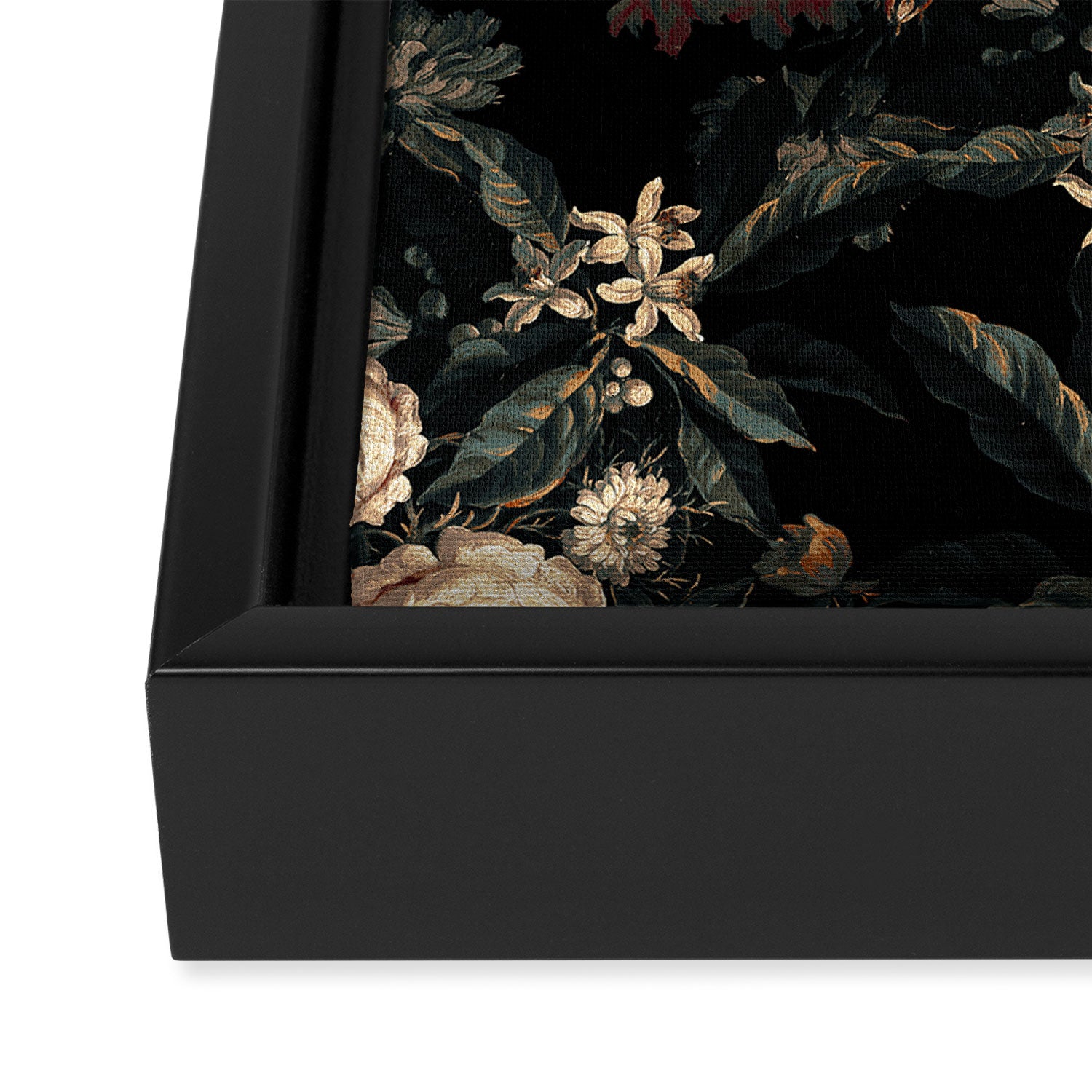 Midnight Garden XIV Framed Canvas Print Gallery Image 3
