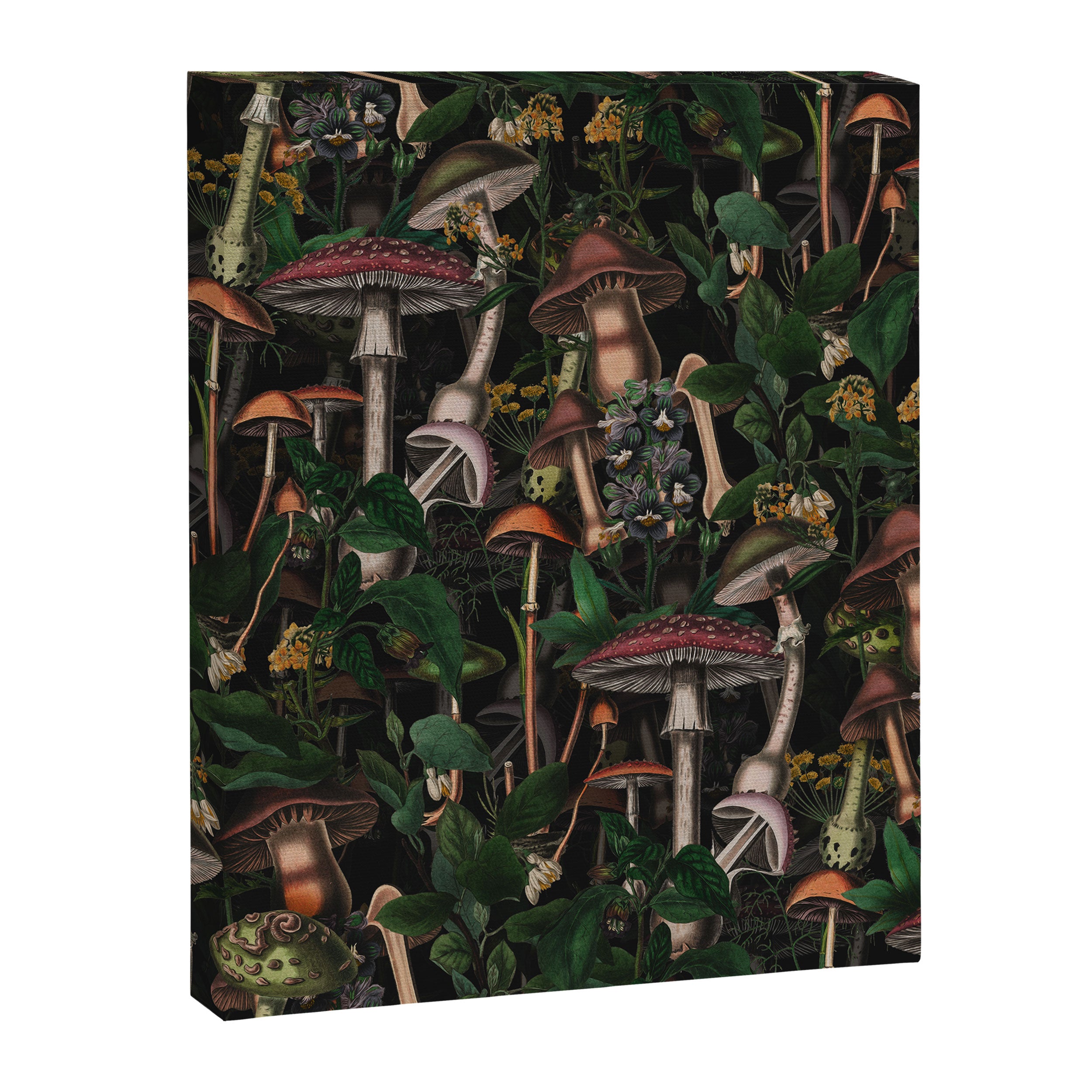 Mushroom Paradise III Canvas Print Gallery Image 6