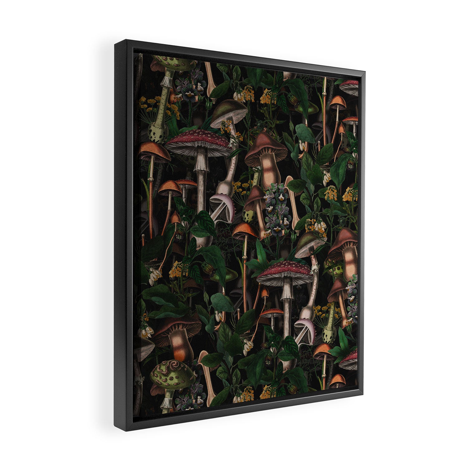 Mushroom Paradise III Framed Canvas Print Gallery Image 2