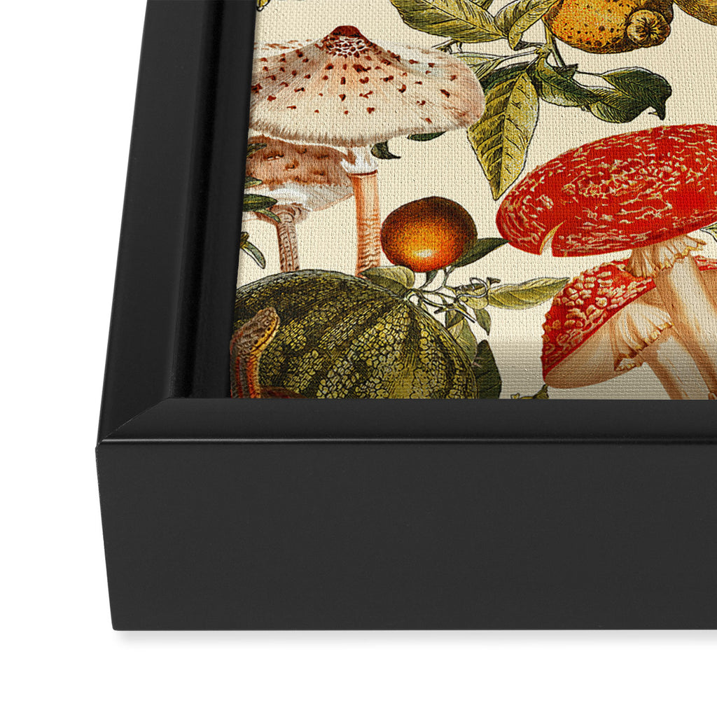 Mysterious Mushroom Forest  Framed Canvas Print Gallery Image 3