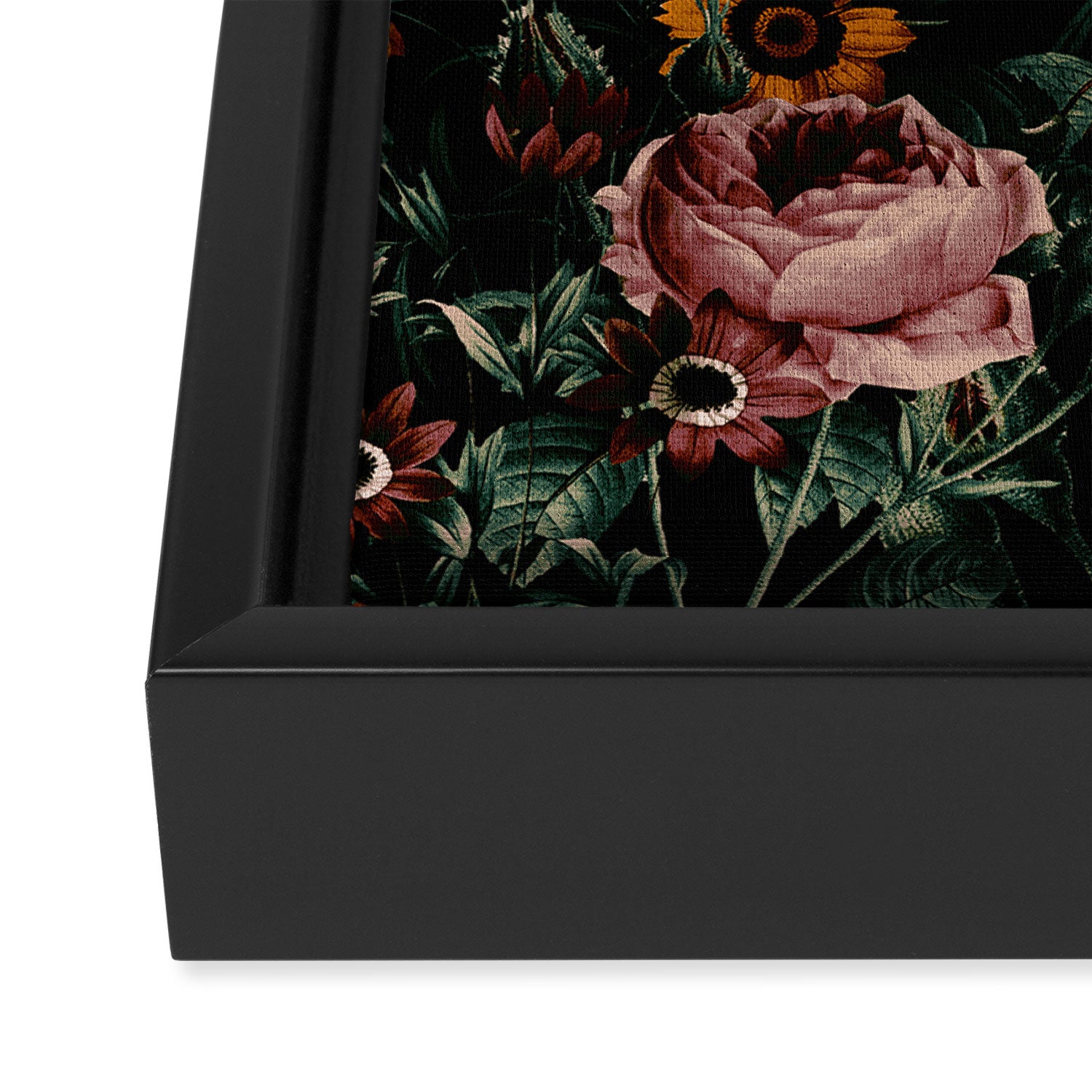 Night Roses Garden Framed Canvas Print Gallery Image 3