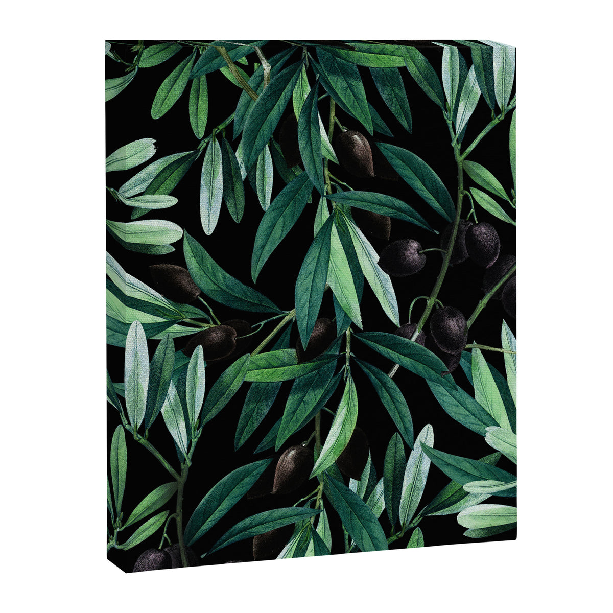 Olive Canvas Print Gallery Image 6
