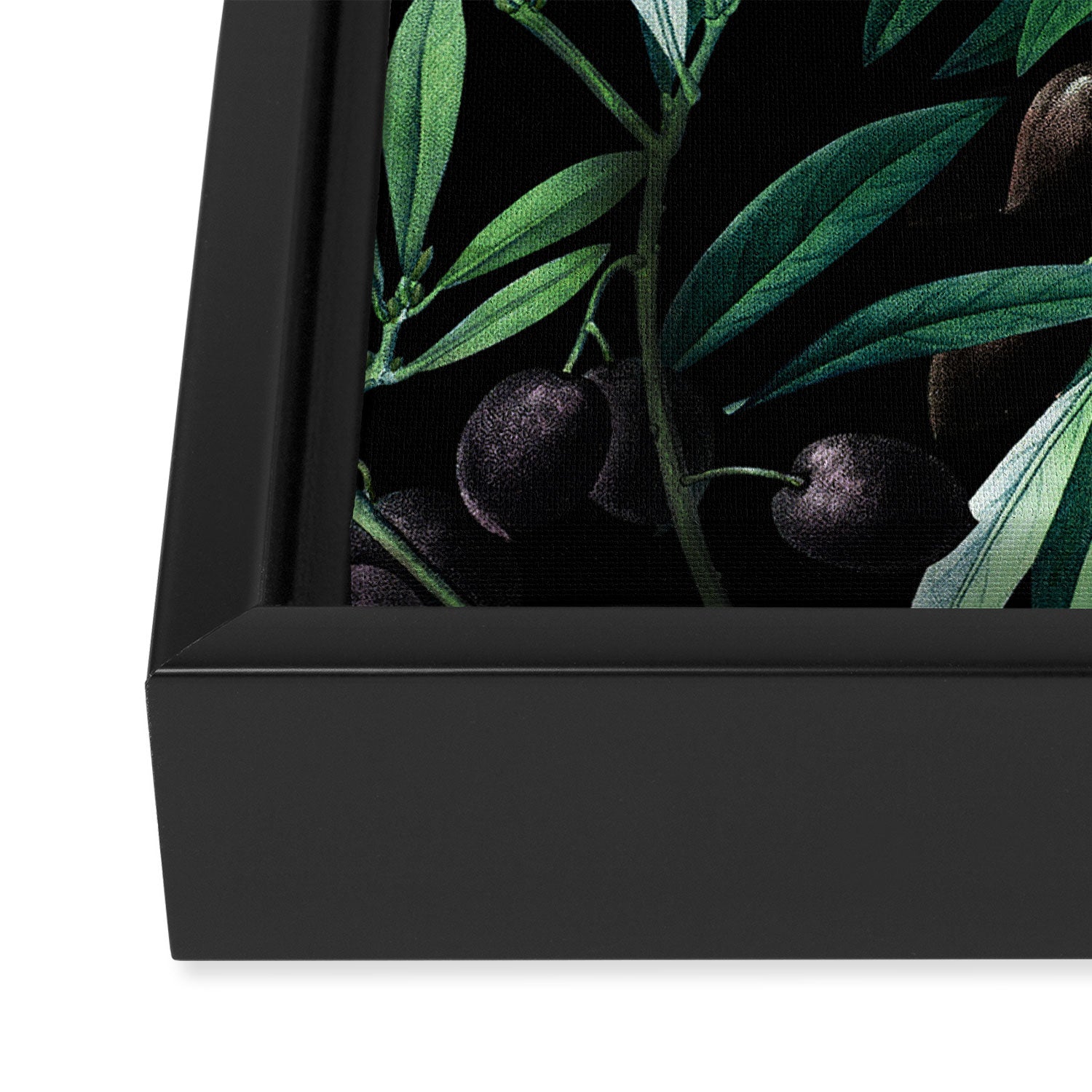 Olive Framed Canvas Print Gallery Image 3