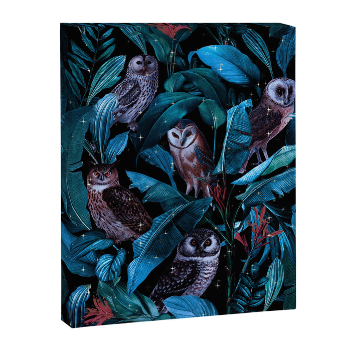 Owl and Leaf Garden Canvas Print Gallery Image 1