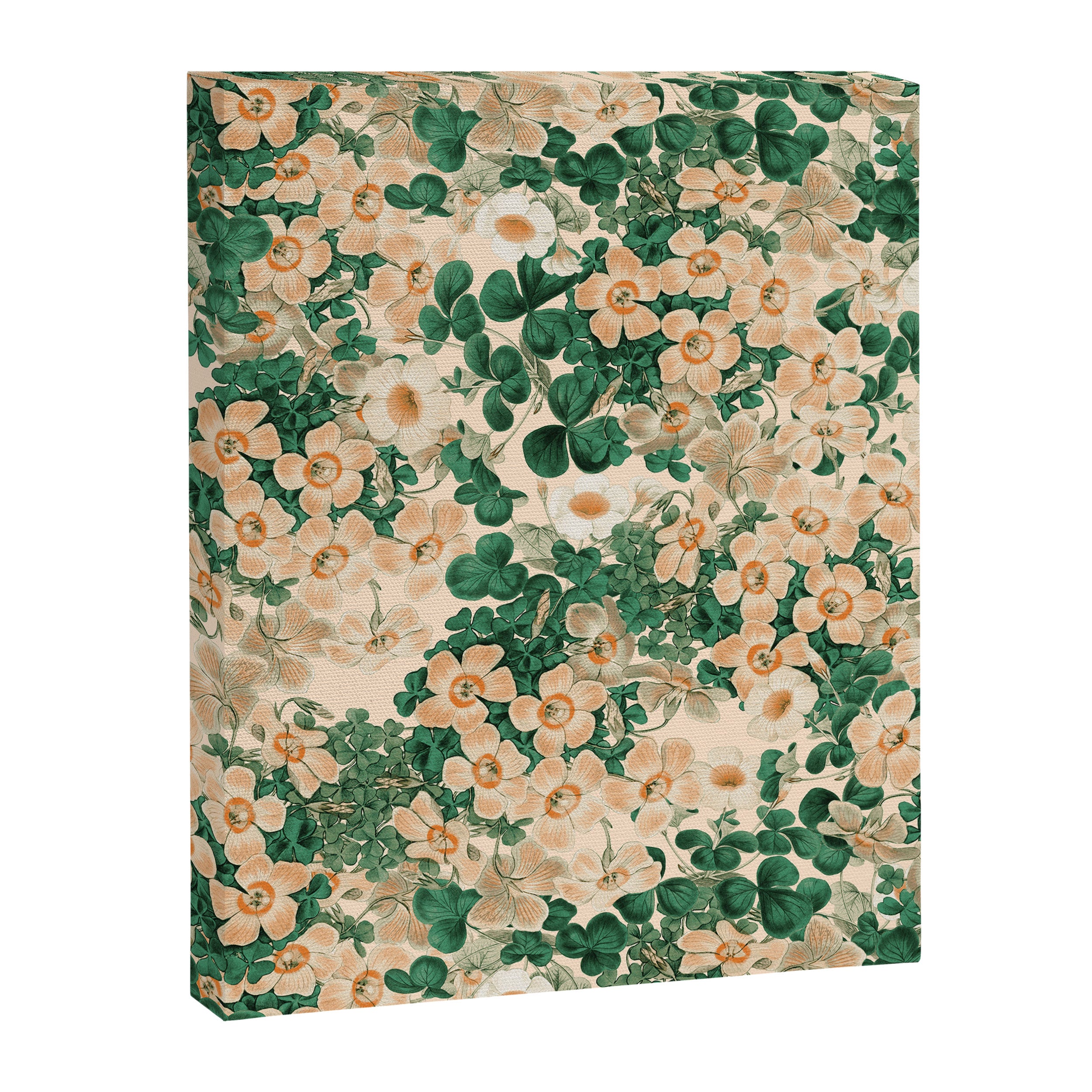 Oxalis Garden Canvas Print Gallery Image 8