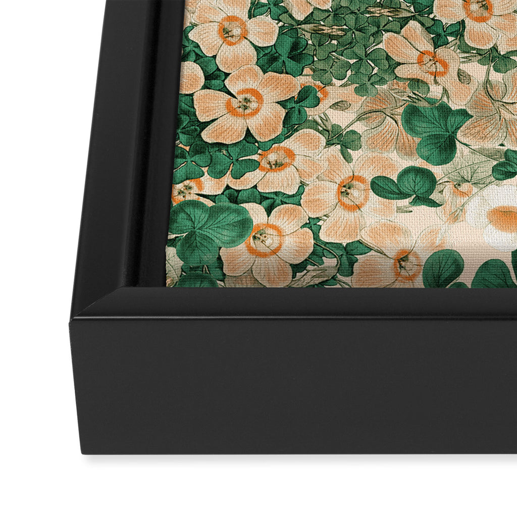 Oxalis Garden Framed Canvas Print Gallery Image 3